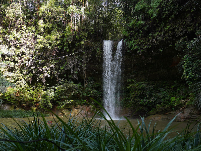 Beyond the City Limits: Exploring Miri’s Surrounding National Parks