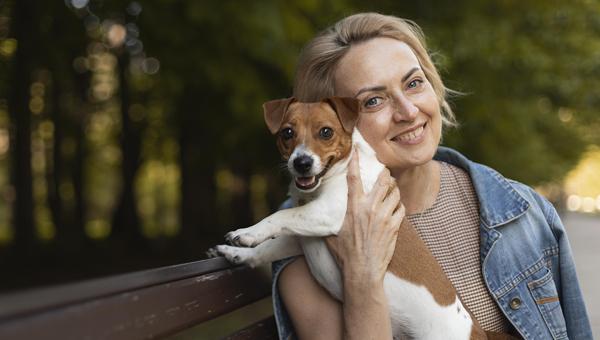 Топ-8 бизнес-идей для владельцев собак