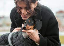 Топ-8 бизнес-идей для владельцев собак