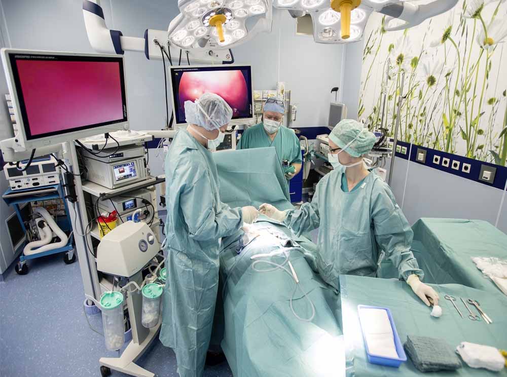 Анализы и обследования по ОМС в частной клинике