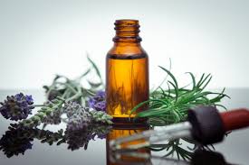 Best Essential Oils for Ants | How to use & Safety