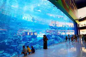 Things to do on your Trip to Dubai