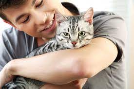 How Much Does It Cost To Have A Cat?