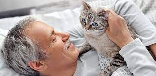 How Much Does It Cost To Have A Cat?