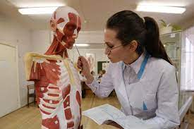 Как устроена работа судмедэксперта