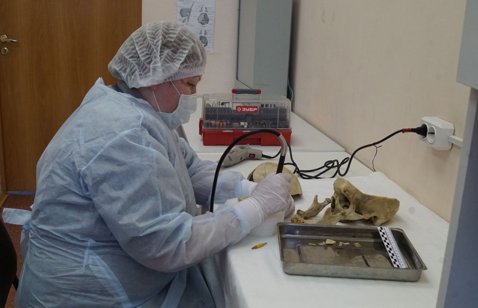 Как устроена работа судмедэксперта