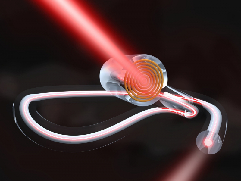 The History of Fiber Optic Sensors in Medicine