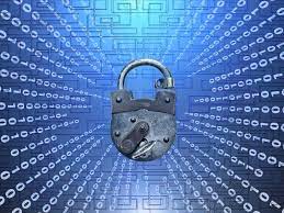 5 Best Practices to Protect Your Business Data