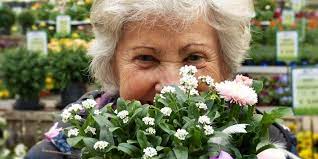 10 Tips to Help You Prepare for Old Age