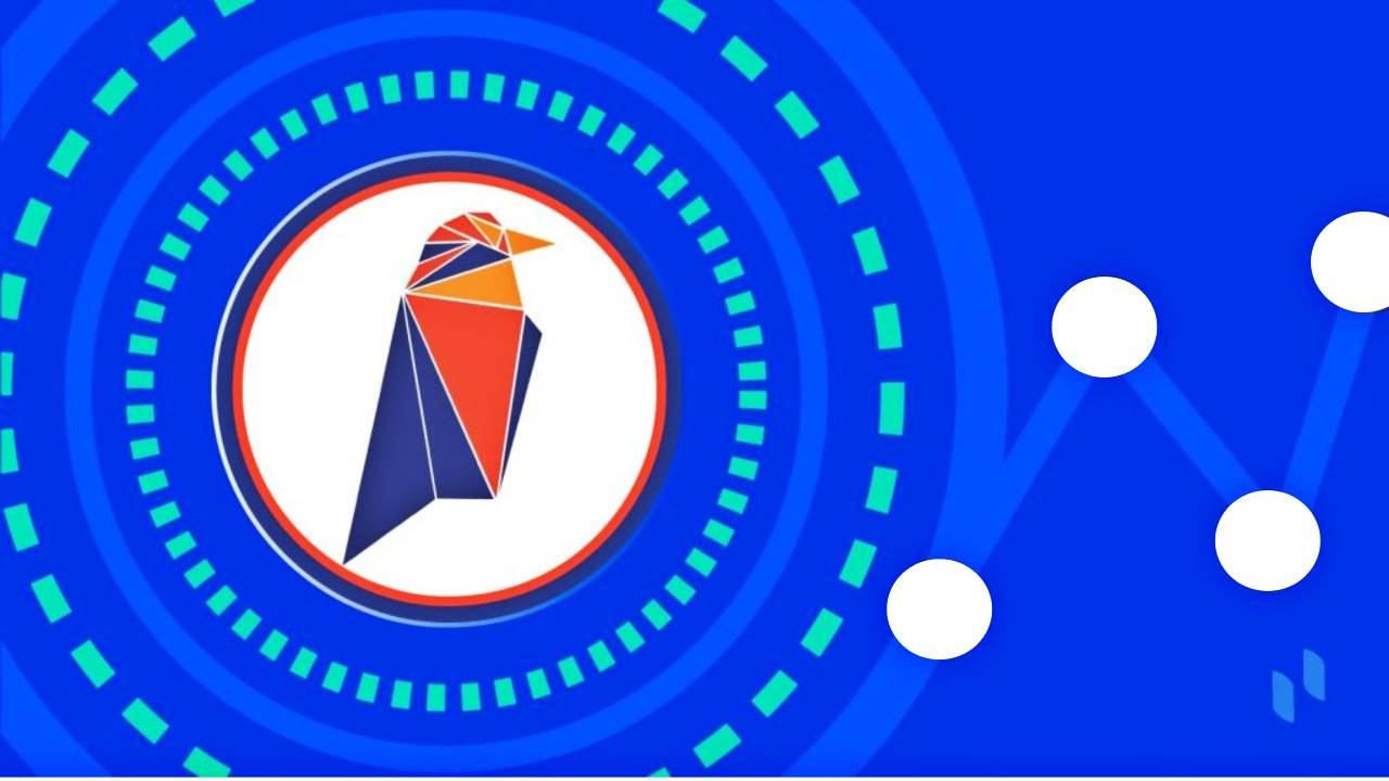 Everything You Need to Know about RVN to CAD Exchange