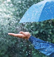 Factors to Remember When Purchasing an Umbrella