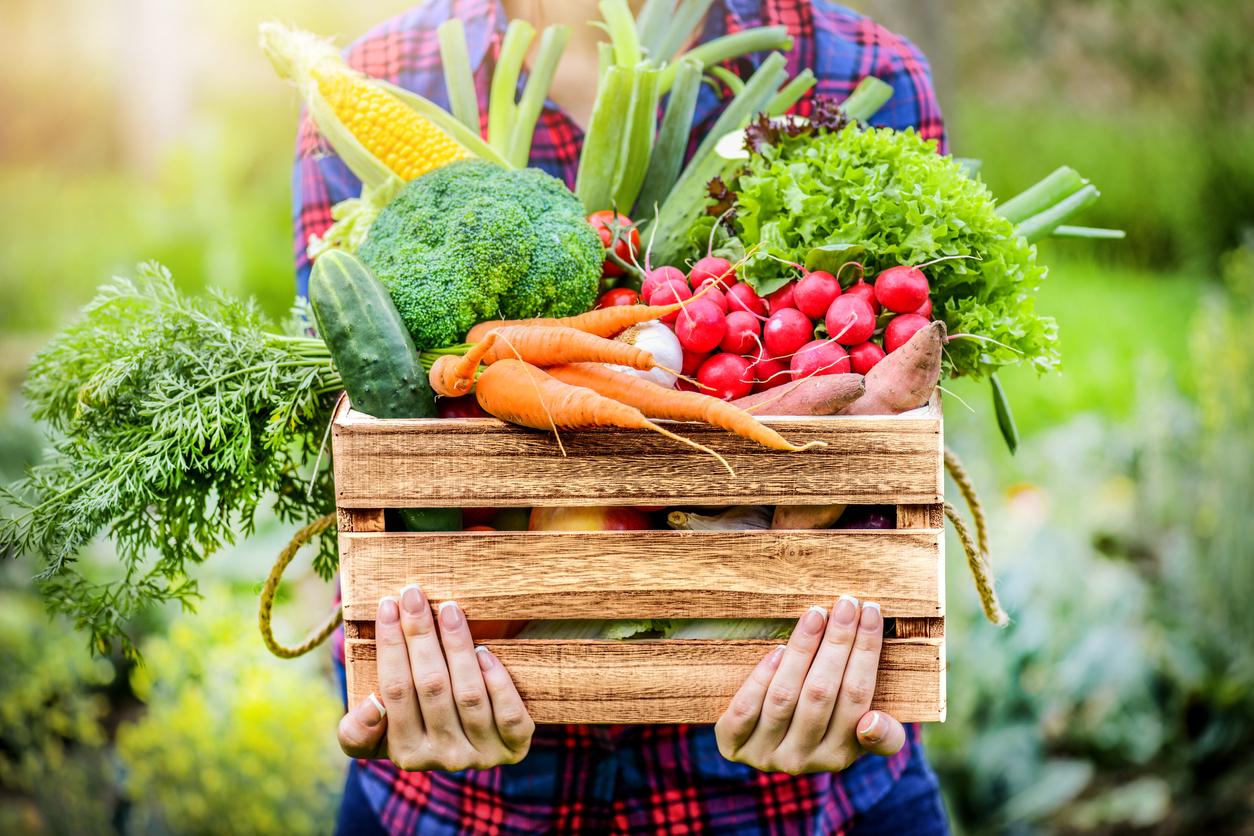 Почему фермерским продуктам трудно добраться до потребителей