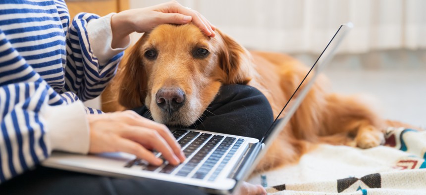 5 Useful Tips For Successfully Shifting To Remote Work