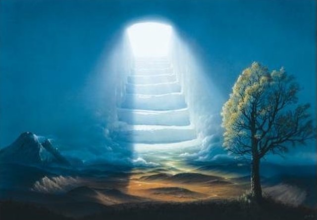 Пейзаж солнечного света: красивая природа на свежем воздухе с яркими видами.