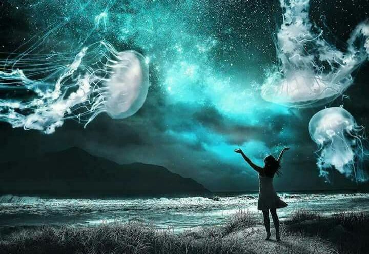 Человек наблюдает за морем ночью в природе.