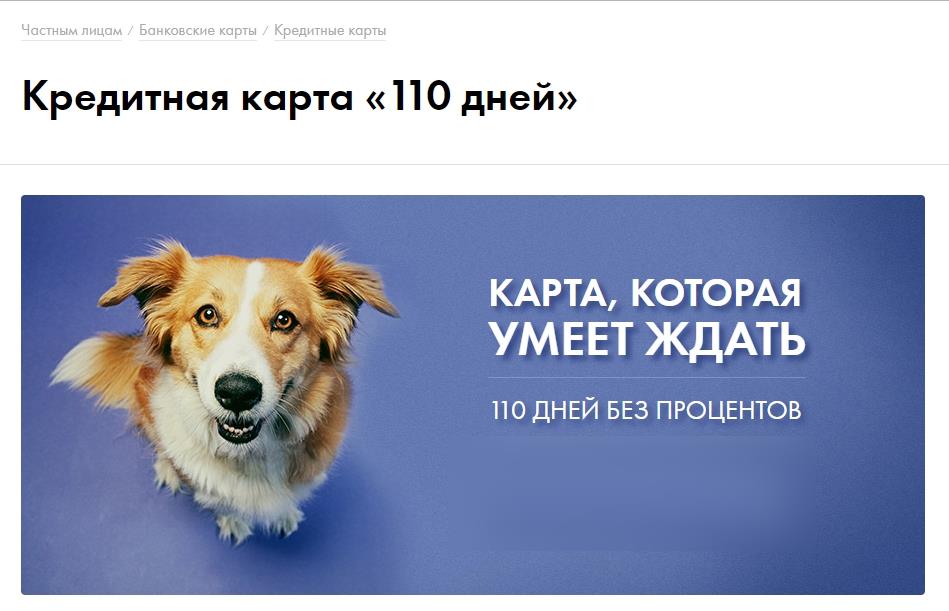 Плакат с изображением собаки породы колли, текстом и рекламой.