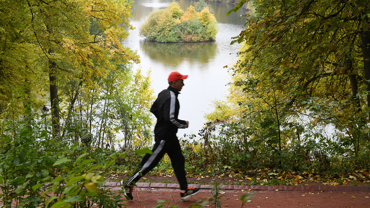 Мужчина в пальто бежит по осеннему лесу среди деревьев.