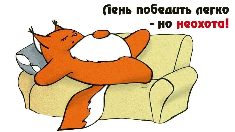 Диван с плюшевым медвежонком, спящим человеком и дикими животными в теплой обстановке.