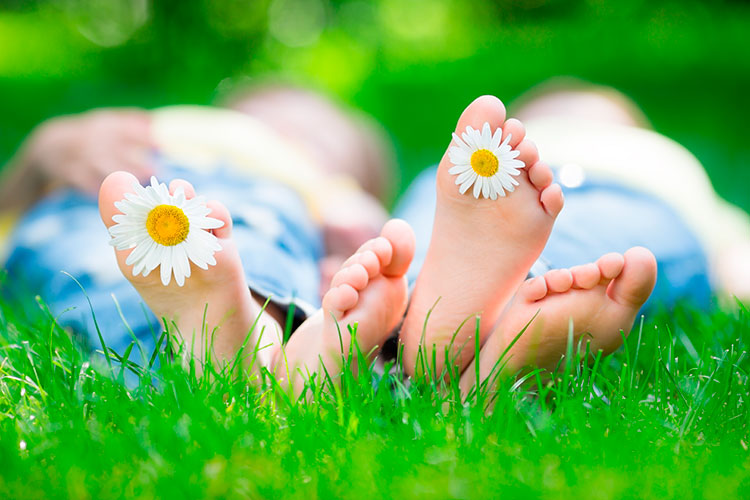 Трава и маргаритка на лужайке, босиком рядом с ребенком с лекарствами.