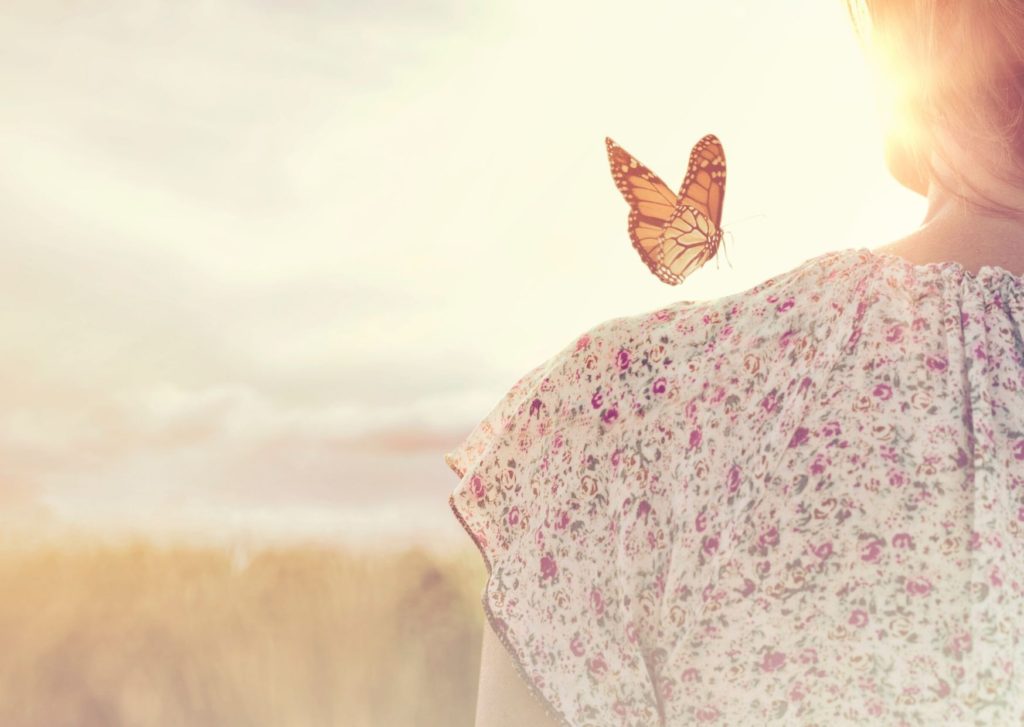 Человек сфотографировал бабочку на растении под открытым небом в природе.