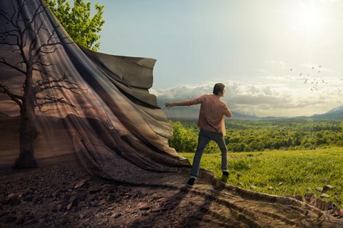 Мужчина идет по лесу на фоне солнечного луча, окруженного растительностью и почвой.