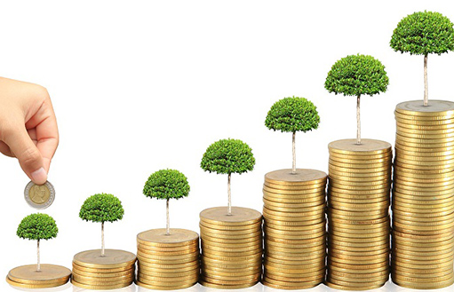 Малыш держит монету растения в руках, символизируя будущее финансовое благополучие.