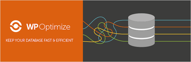 Самые необходимые плагины для WordPress