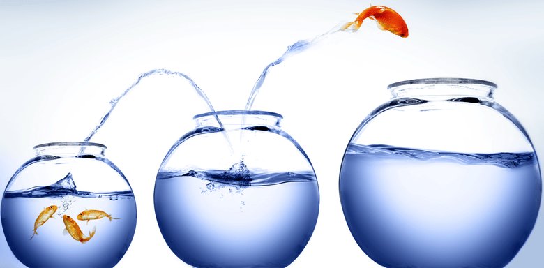 Животное в море: рыба плавает в воде, морская жизнь.