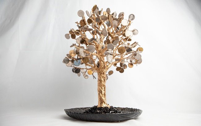 Фотография с красивым деревом в горшке, декоративным светильником и бонсай на столе.