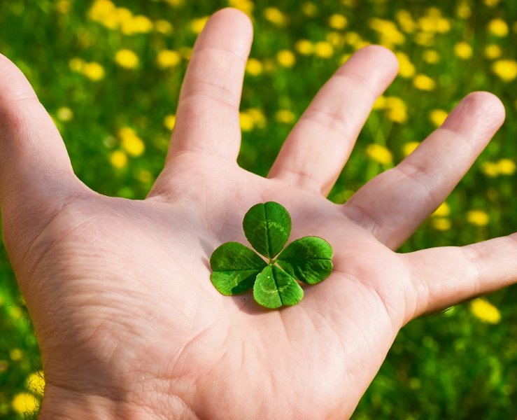 Палец руки человека на фоне зеленого листа растения и травы.