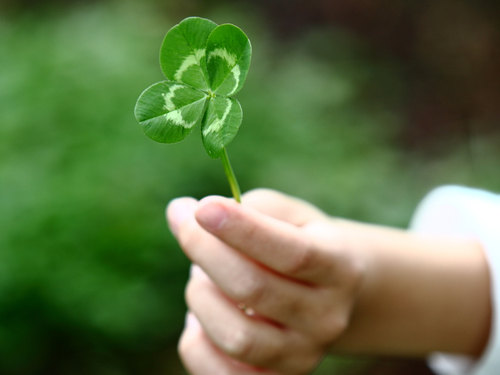 Листик на пальце руки человека – естественное объединение природы и тела.