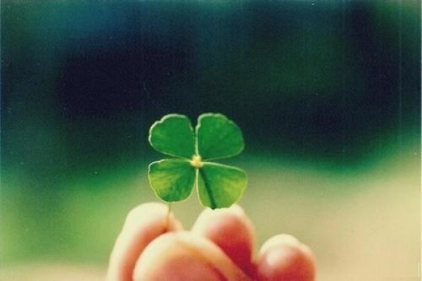 Лист растения на пальце и руке человека — натуральное сочетание.