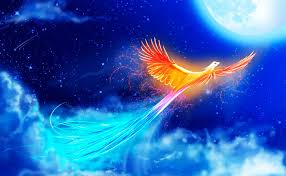 Шаблон природы ночью с искусством света: акула в морской жизни.