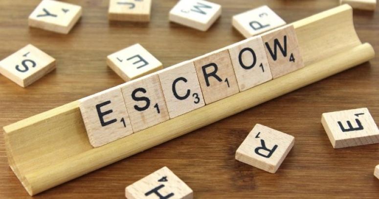 Номер 7 на крикетной бите, символ спорта и текст на бите.