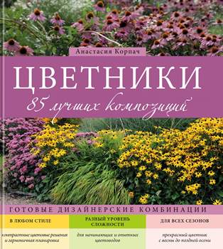 Травяной сад с фиолетовыми цветами маргариток на фоне природы и ландшафта.