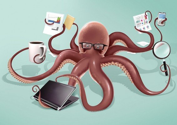 Морское животное – осьминог с чашкой, морская жизнь, беспозвоночное – оптимизированный alt текст.