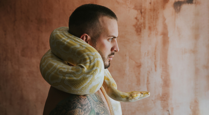 Голова змеи рядом с человеком, животное рептилия, змея, рептилия.