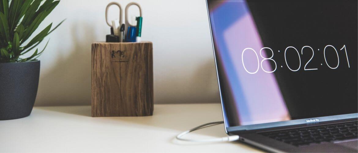 Компьютер с монитором, ноутбук, растение в горшке. Электроника, компьютерная аппаратура, железо.