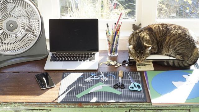 Компьютер на столе с животным и монитором на заднем фоне.