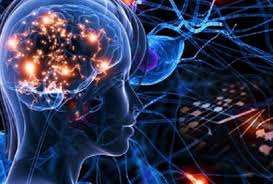 Что такое авторитаризм?