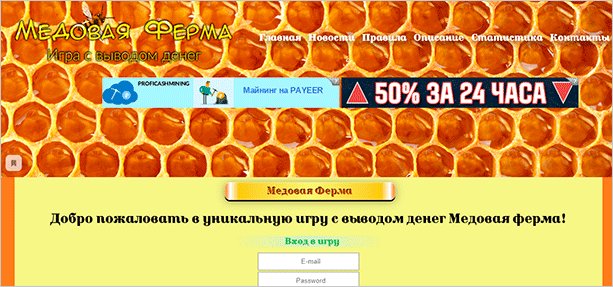 Еда: мед и медовые соты - вкусное медовое сочетание.