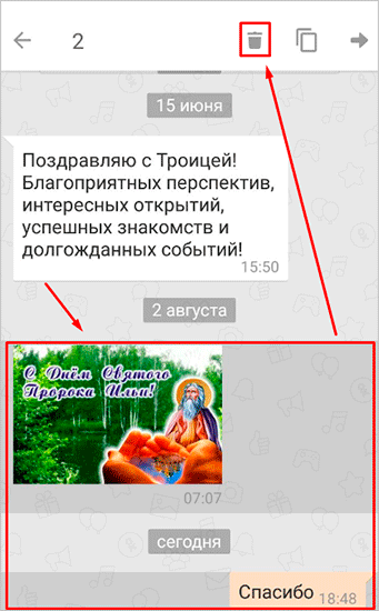 Реклама на постере с текстом на фоне растительности, человек просматривает страницу.