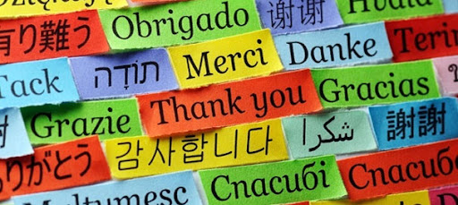 ТОП 5 ПЕРСПЕКТИВНЫХ БИЗНЕС ИДЕЙ НА БУДУЩЕЕ!