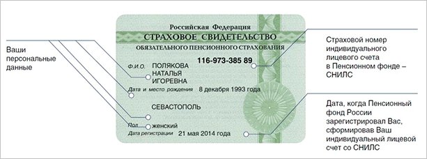 Что такое СНИЛС и зачем он нужен взрослым и детям