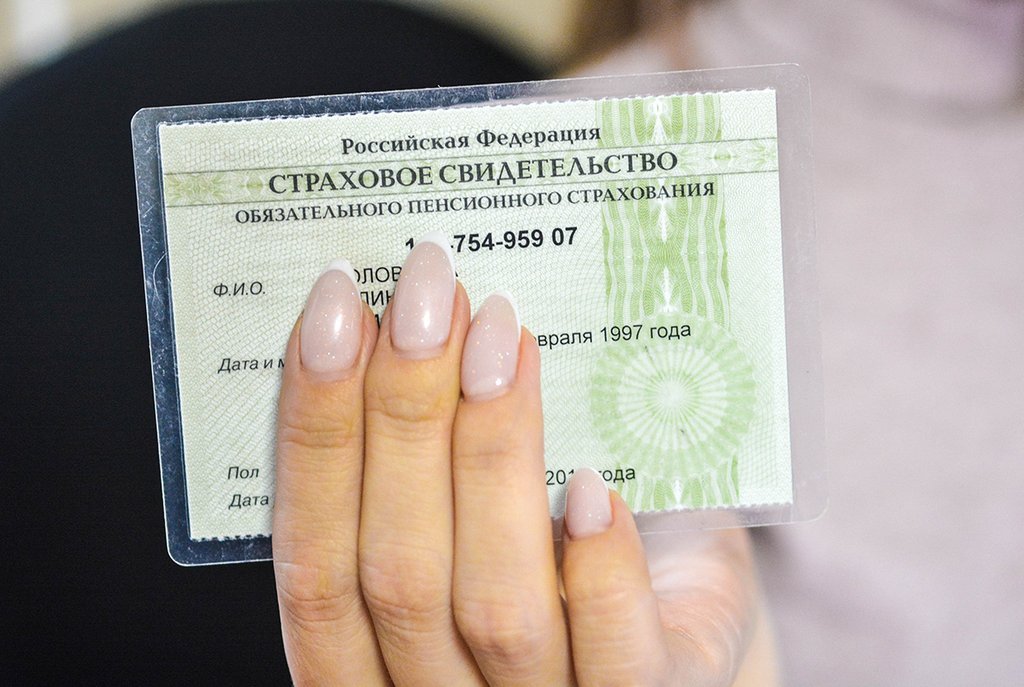 Текстовый документ с водительским удостоверением и удостоверениями личности для SEO оптимизации.