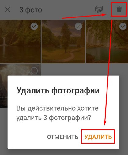 Растительность на открытом воздухе с надписью - ключевые слова: растение, растительность, улица, текст.