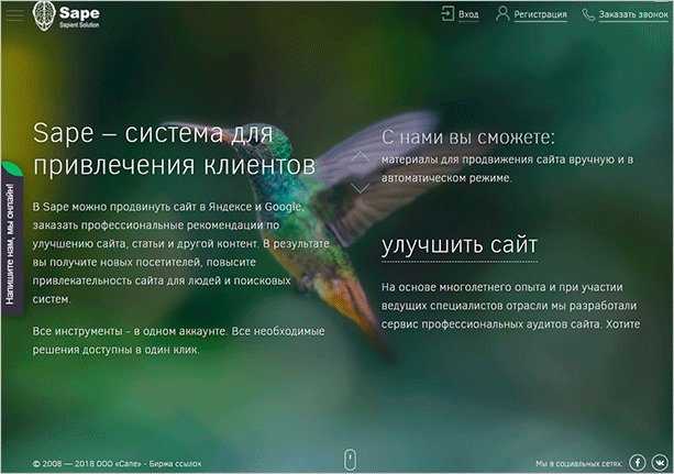 Животное, птица - колибри.