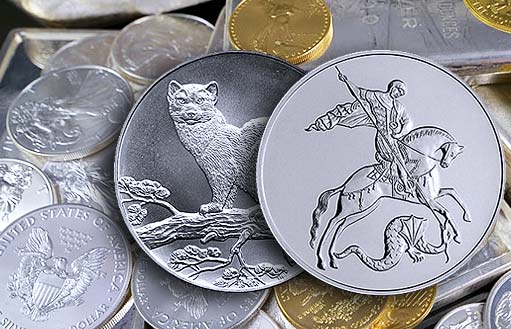 Серебристый кот – млекопитающее домашнее животное с отличной шерстью.