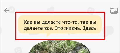Как поставить статус в Одноклассниках на компьютере и в телефоне