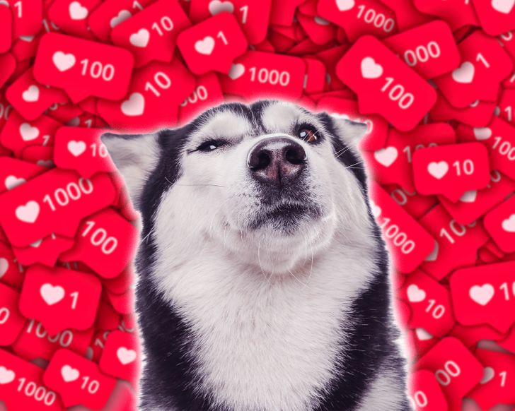 Online Logo Design: Best Platforms and Tips